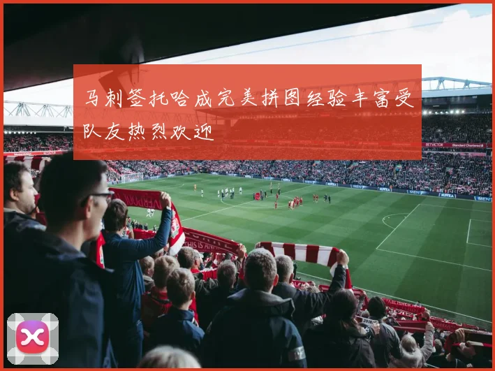 马刺签托哈成完美拼图经验丰富受队友热烈欢迎