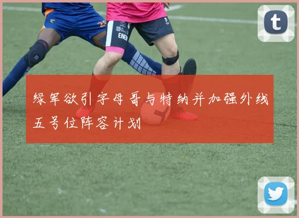 绿军欲引字母哥与特纳并加强外线五号位阵容计划
